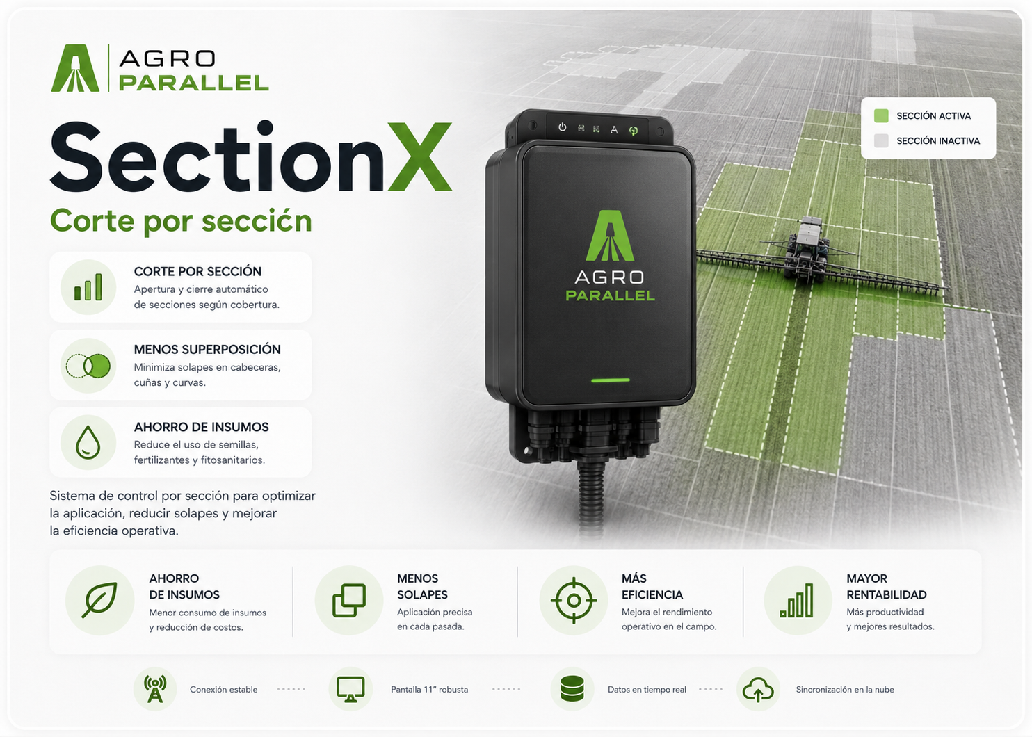 SectionX